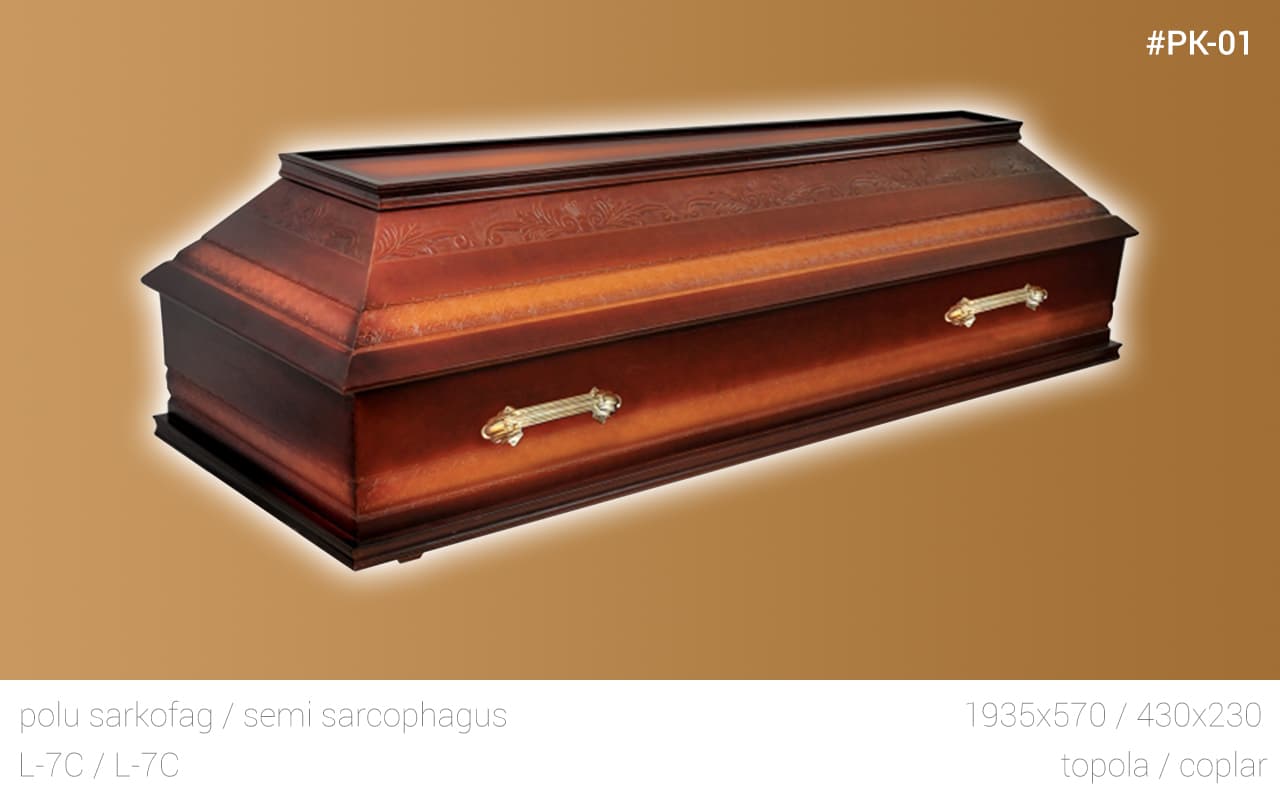 polusarkofag 1